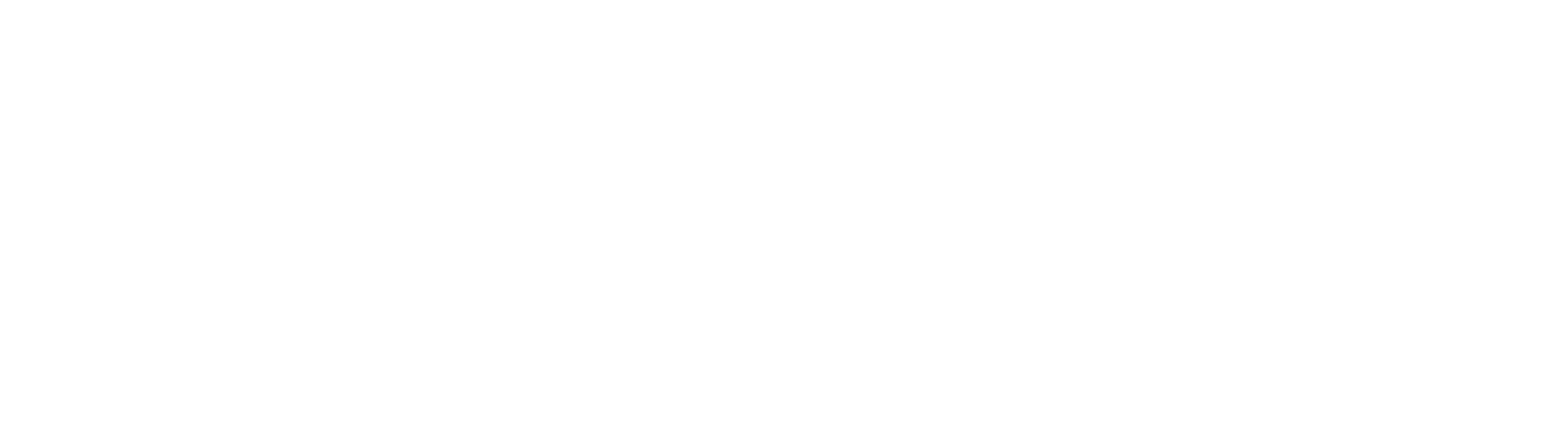 Cicli Bonfanti